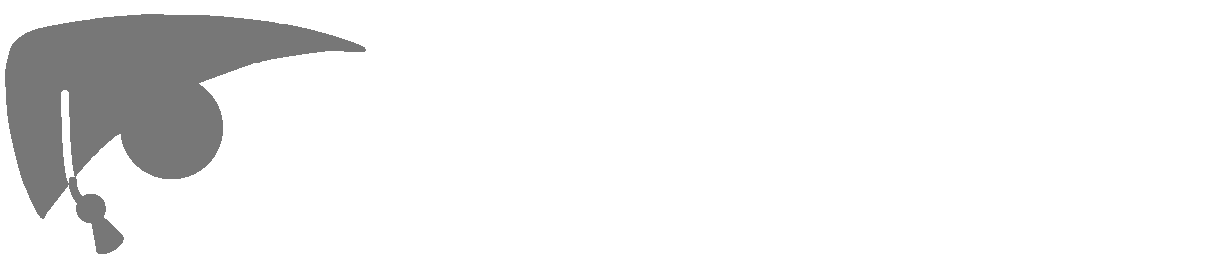 Acadamise Logo